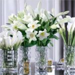 Embellish your interior with unique Baccarat vases. GRAND LOUXOR vase and LOUXOR ROUND vases, / available in 3 sizes.