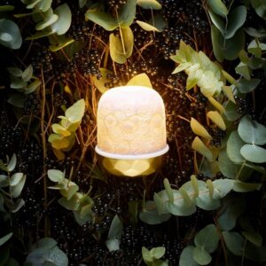 LED light from LAMPION collection ZINNIAS GOLD, 245‚Ç¨