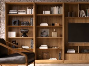 TV UNIT BY ROBERTO LAZZERONI