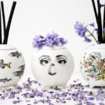 DIFFUSING SPHERES: SARDINE BIANCO, L`APE AND FLORA. MADE USING THE HIGHEST QUALITY OILS, THE ALCOHOL-FREE FORMULATION IS DESIGNED TO MAXIMISE THE LONG LASTING EFFECT OF THE BEAUTIFUL SCENT