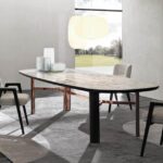 DAN by CHRISTOPHE DELCOURT